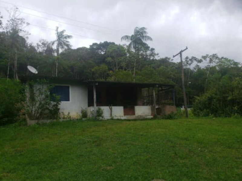 LOTE 001 Imóvel contendo 3 terrenos, Parque das Samambaias, Miracatu/SP — foto 3