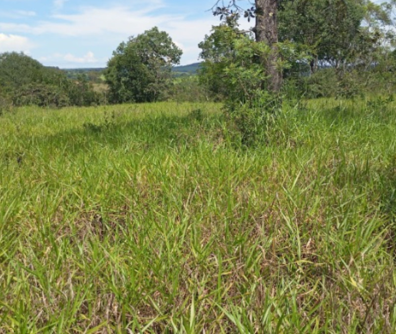 Lote 001 Terreno Rural com 48.920,00m² em Patos de Minas/MG