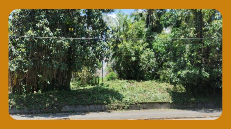 Terreno Urbano Situado no Lado Ímpar da Rua Marechal Floriano Peixoto, Bairro Padre Martinho Stein, Timbó/sc, com Área de 21.658,87m2.__