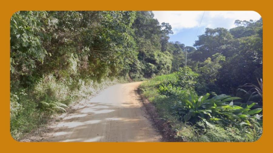 Área de Terra Localizada no Bairro Poço Fundo, no Município de Brusque/sc. o Referido Terrono Está Situado em Uma Área de Preservação Permanente com Vegetação Nativa. Área Total de 160.000,00m²