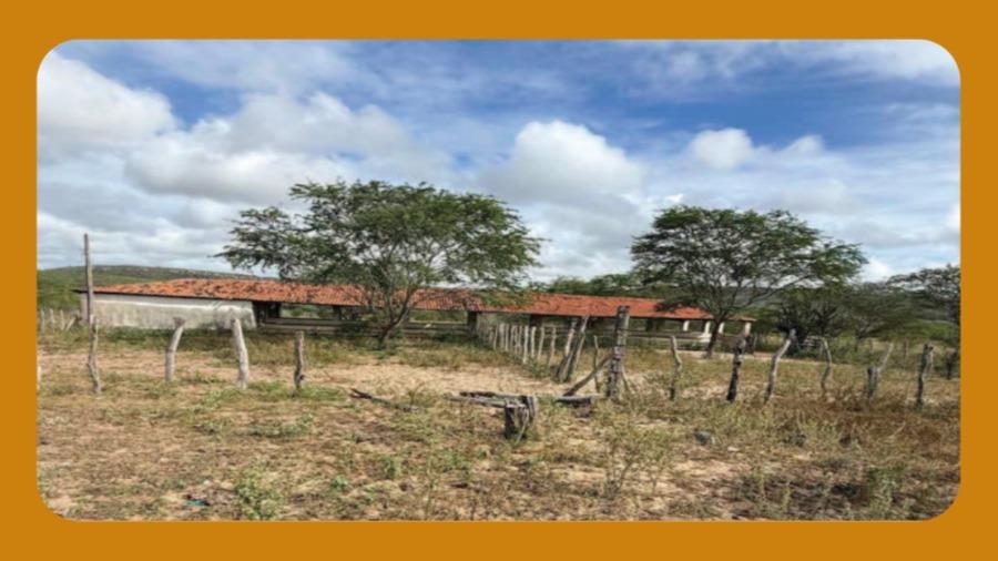 Fazenda Pitombeira (Atualmente Fazenda Venturosa), na Zona Rural do Municipio de Santa Brigida/ba. o Imóvel Representa Uma Faixa de 400 Tarefas Ou 133 Hectares.__ — foto 2