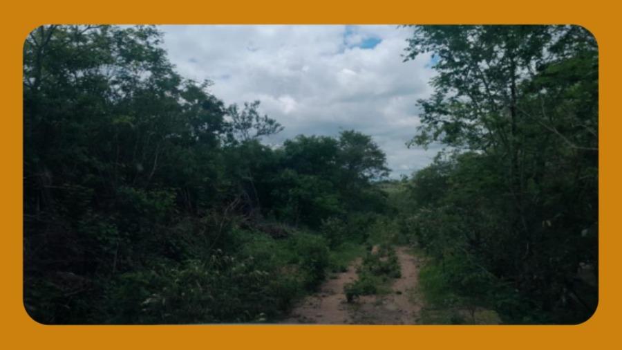 Imóvel Rural, Localizado no Município de Pesqueira/pe. o Imóvel SE Encontra em Sua Maior Fração Coberto por Vegetação Local, Tendo Apenas o Vértice do Açude Alvorada Ingressado Dentro da Propriedade. Área Total de 358,60 Hectares.