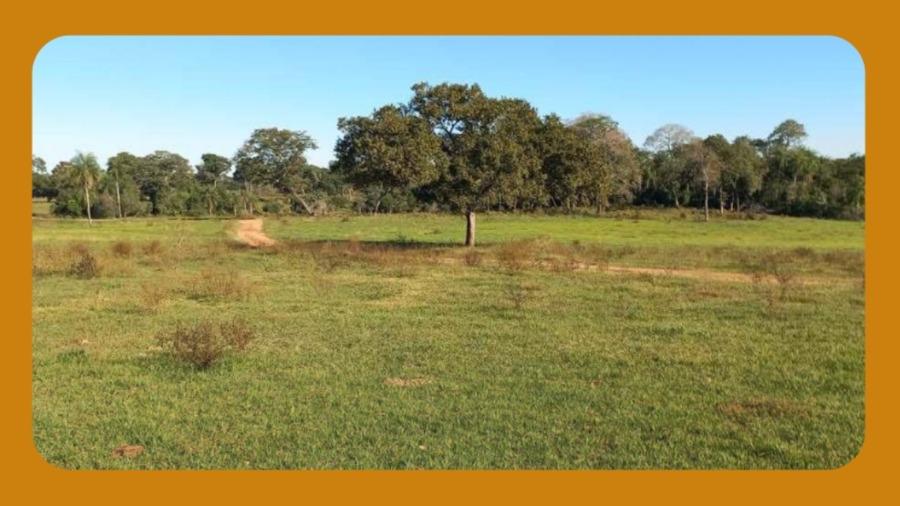 304ha e 290m² de Terras Pastais e Lavradias, Parte da Fazenda Barreiro Preto, Caracol/ms.__