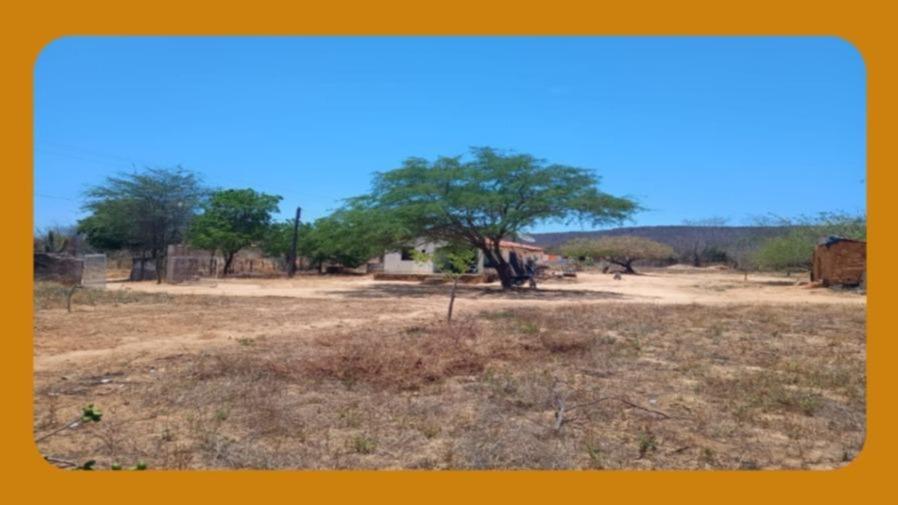 Gleba de Terras com Benfeitoria de 2 Casas, Localizada no Sítio Alagoinha, Araripina/pe. Área Total de 3,0 Hectares__
