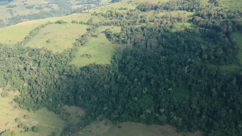 Lote 701 a Fração Ideal de 50% (128.750,00m²) Sobre o Lote Rural Nº 06, com Área Total de 257.500,00