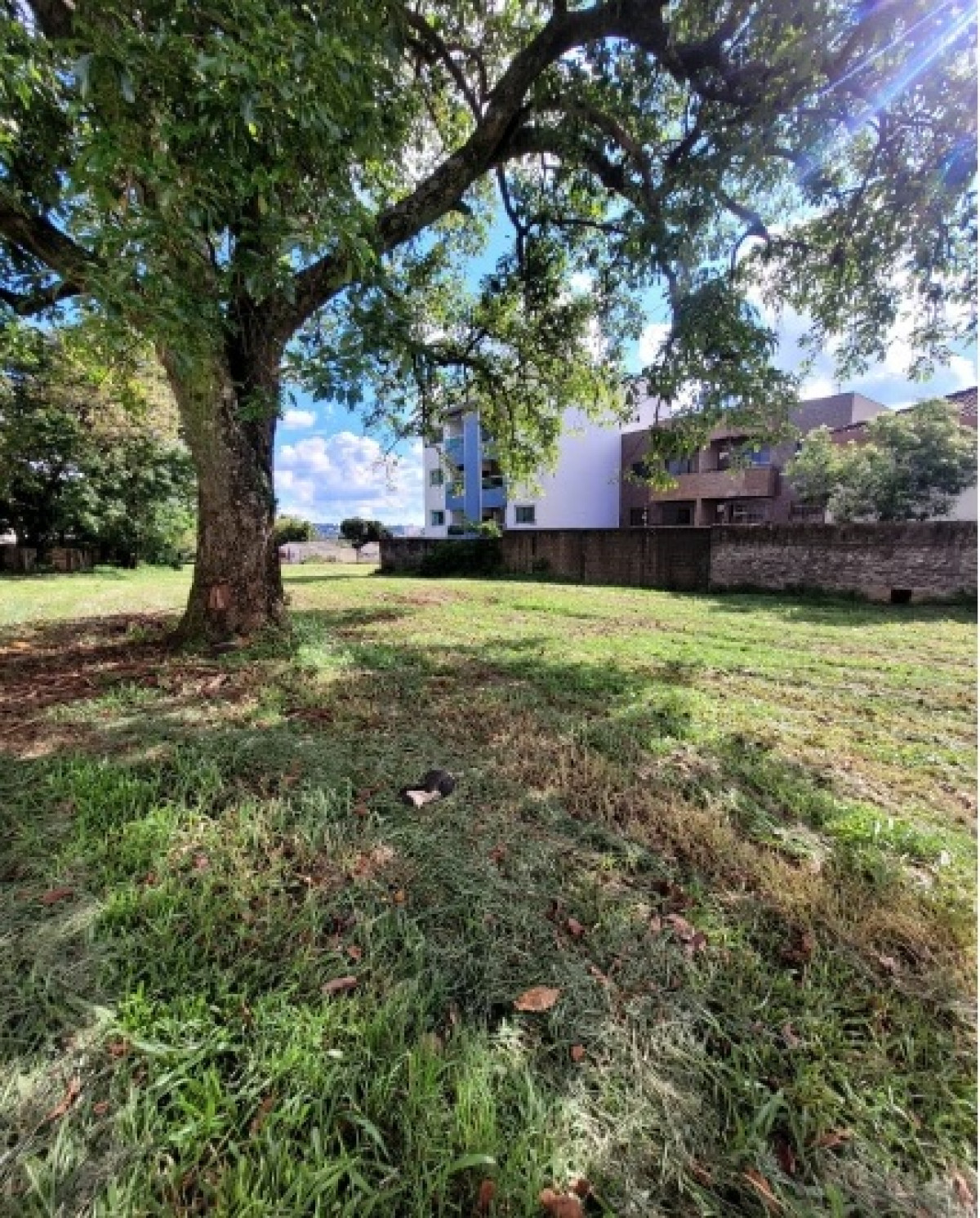 Terreno no Loteamento Vila Coqueiral — foto 5