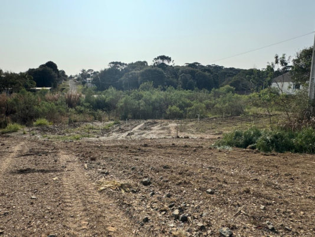 Terreno Rural Denominado Sítio Fazenda Rio Seco, Papanduva
