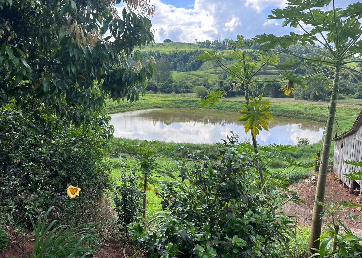 Parte Do Lote Rural Nº 10, Da Fazenda Saudades, 210.000,00m², Na Cidade De Santiago Do Sul/SC — foto 2