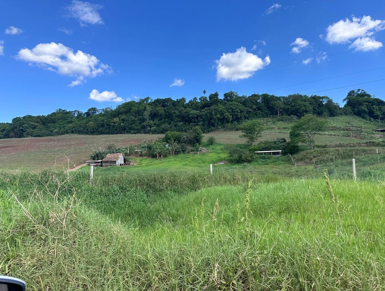 Parte Do Lote Rural Nº 10, Da Fazenda Saudades, 210.000,00m², Na Cidade De Santiago Do Sul/SC — foto 3