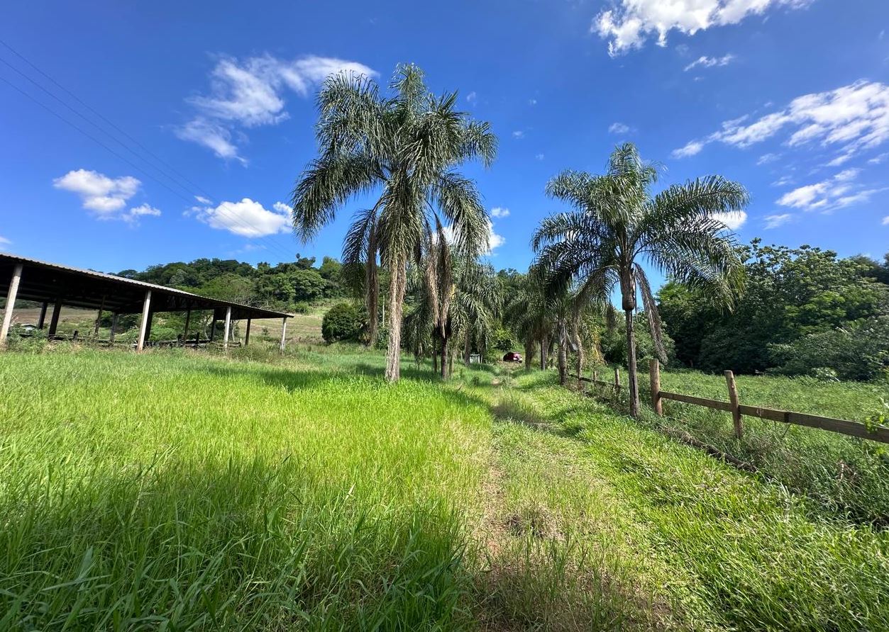 Parte Do Lote Rural Nº 10, Da Fazenda Saudades, 210.000,00m², Na Cidade De Santiago Do Sul/SC — foto 4