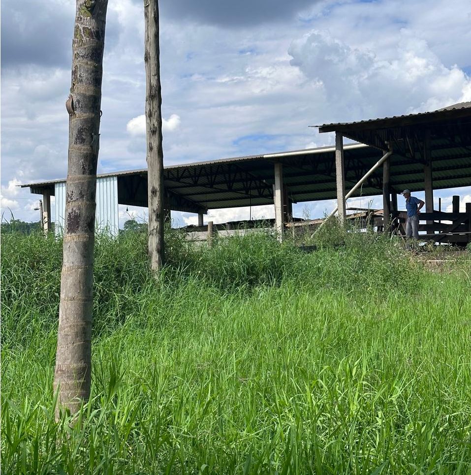 Parte Do Lote Rural Nº 10, Da Fazenda Saudades, 210.000,00m², Na Cidade De Santiago Do Sul/SC — foto 5