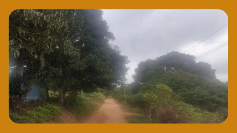 Imóvel Rural Composto por Duas Áreas Contíguas Que Formam Um Único Corpo, Localizado nos Sítios Araticum e Santo Reis, no Município de Tianguá/ce, com Área Total de 35,13 Hectares__
