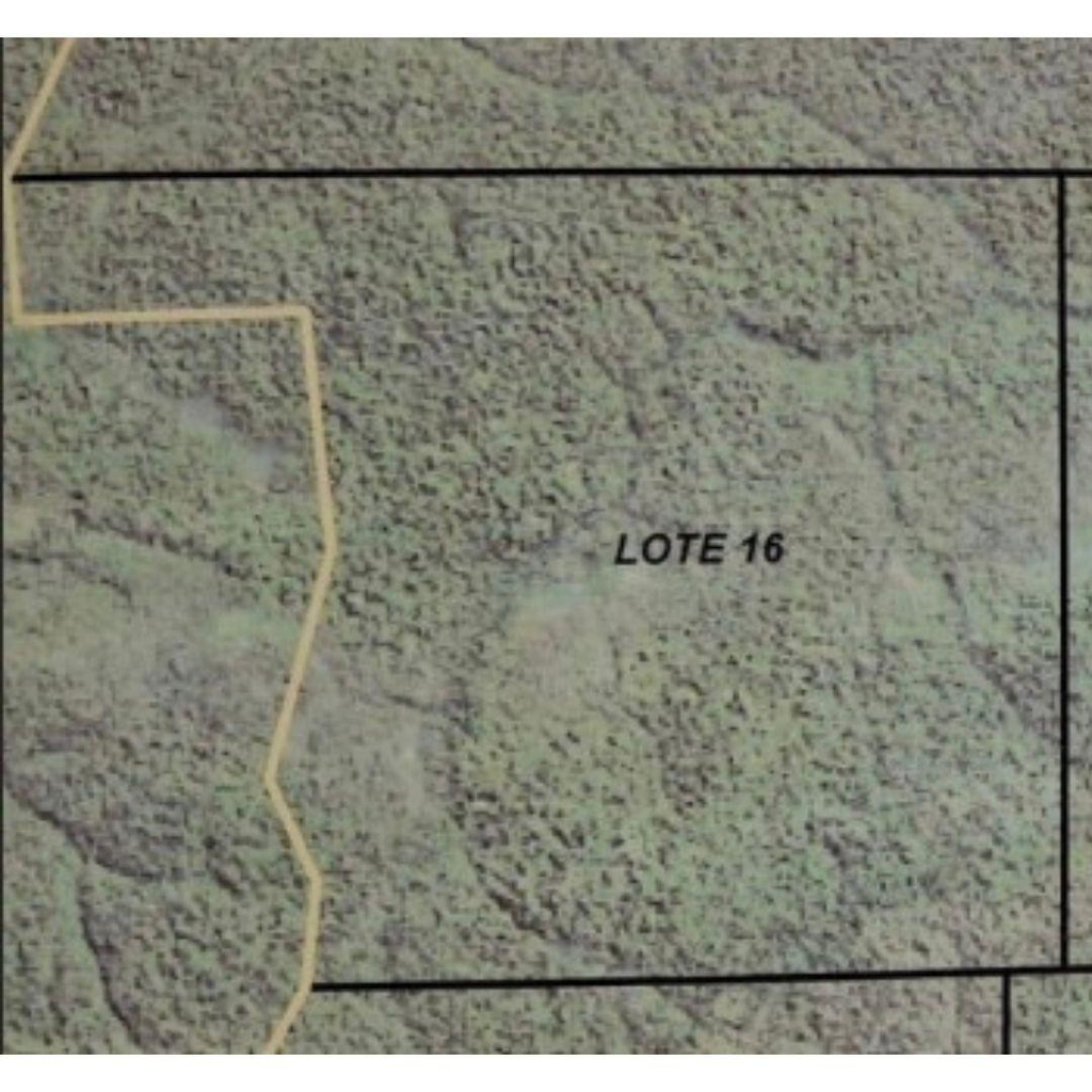Imóvel Rural com 3.027,7862 ha localizado no município de Colniza / MT - (LOTE 16)