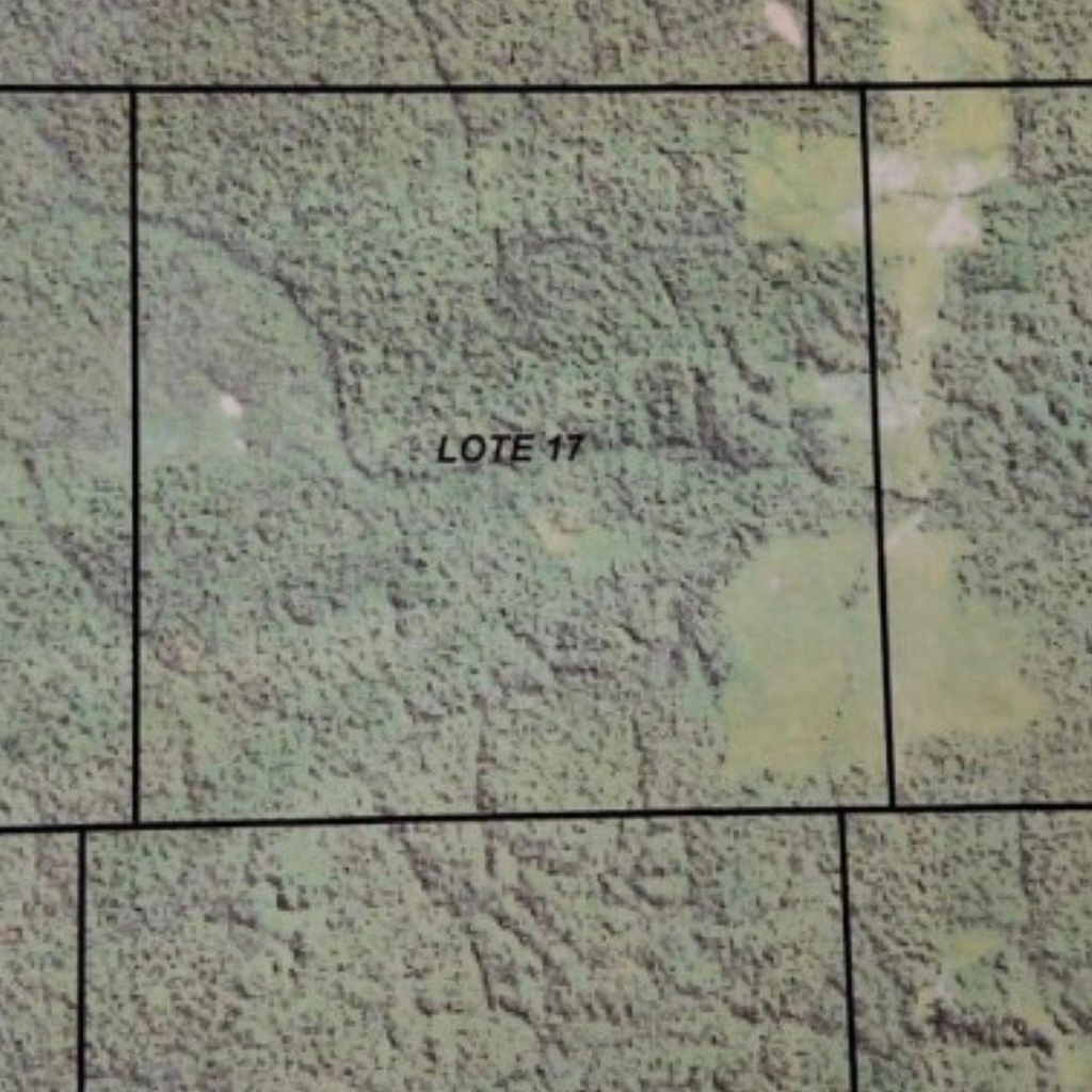 Imóvel Rural com 3.136,7472 ha localizados em Colniza/MT - (LOTE 17)