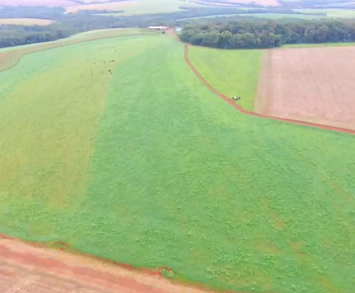 Área Rural C/ 50.000 M² - Ijuí / Rs