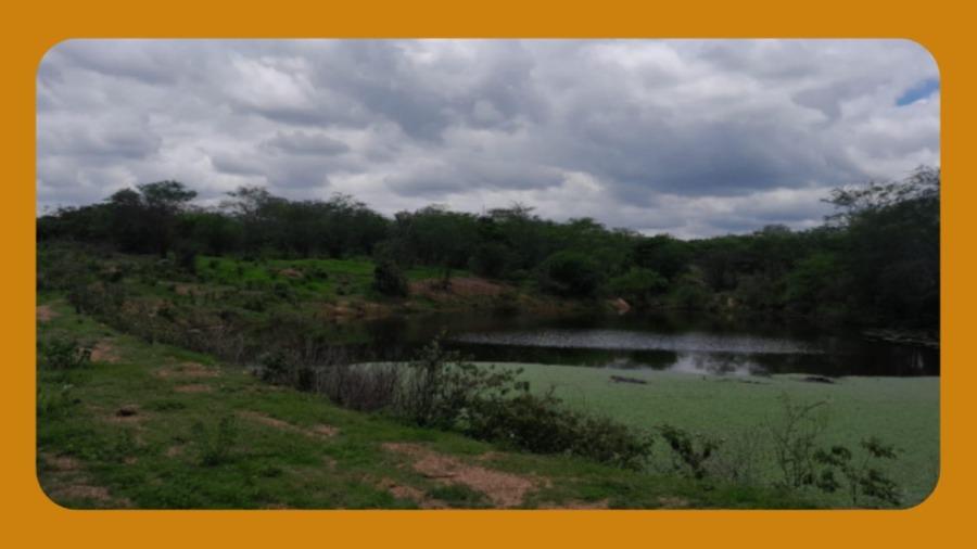 Imóvel Rural, Localizado Às Margens da Br-232, no Lado Esquerdo da Pista no Sentido Pesqueira-arcoverde, Município de Pesqueira/pe. o Imóvel SE Encontra Todo Cercado e Um Pequeno Barreiro, Atualmente Cheio. Área Total de 28,00 Hectares. — foto 2