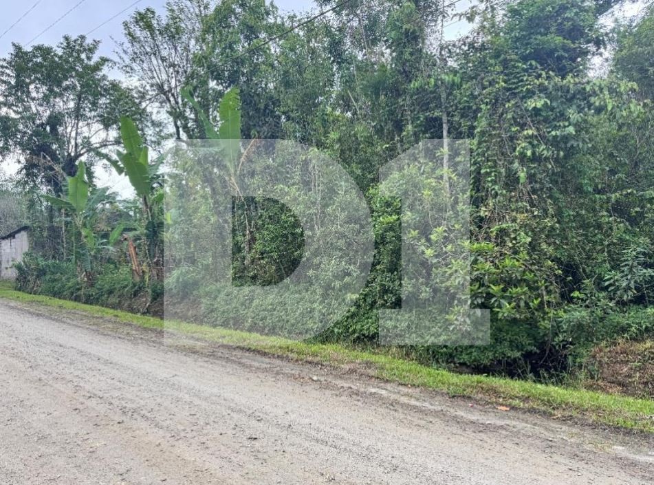 Estuário - Santos - SP - Terreno urbano - 5.280,00 m² — foto 2