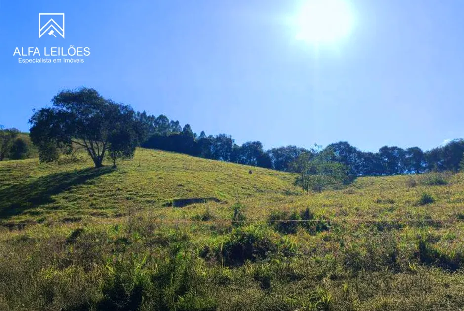 Leilão de Fazenda em Conceição do Rio Verde (MG) — foto 3