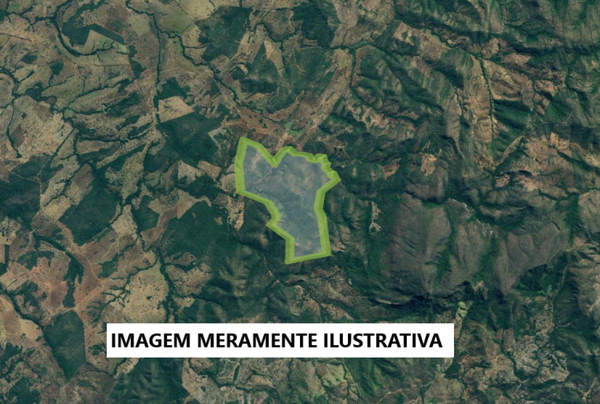 Imóvel Rural em Trombas - GO — foto 2