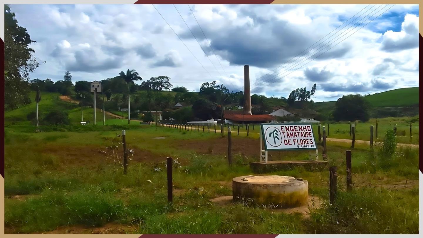 Parte de terra, com uma área de 20 ha, desmembrada do Engenho Tamataúpe de Flores, localizada em Buenos Aires-PE.
