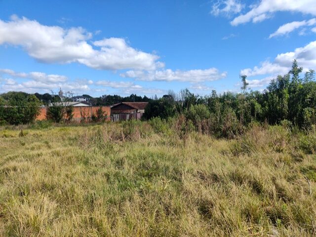 Imóvel 119.220,17m2, Rua Augusto Anciutti Sobrinho, S/n - Vila São João - Irati/PR — foto 3