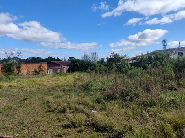 Imóvel 119.220,17m2, Rua Augusto Anciutti Sobrinho, S/n - Vila São João - Irati/PR — foto 4