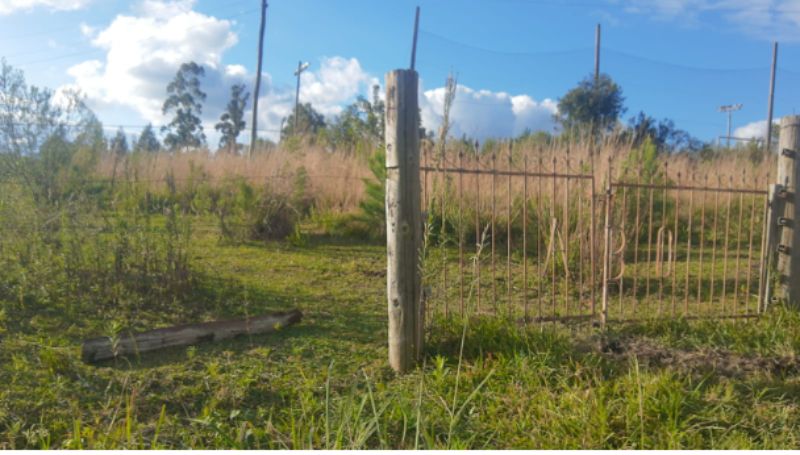 Imóvel matrícula nº8.187 da Comarca de Lages — foto 5