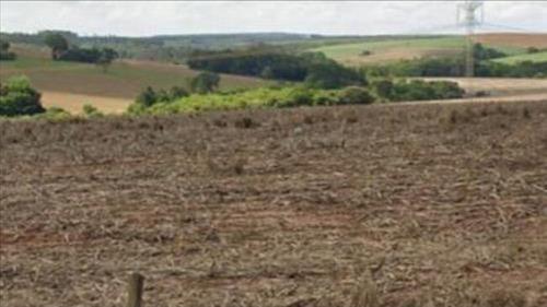 TERRENOS de 1.681,25 m2 constituídos dos lotes 09,10,11,12,13,14 da quadra 80, situado na Rua Idalino Pinez, Vicente de Carvalho, Guarujá/SP.