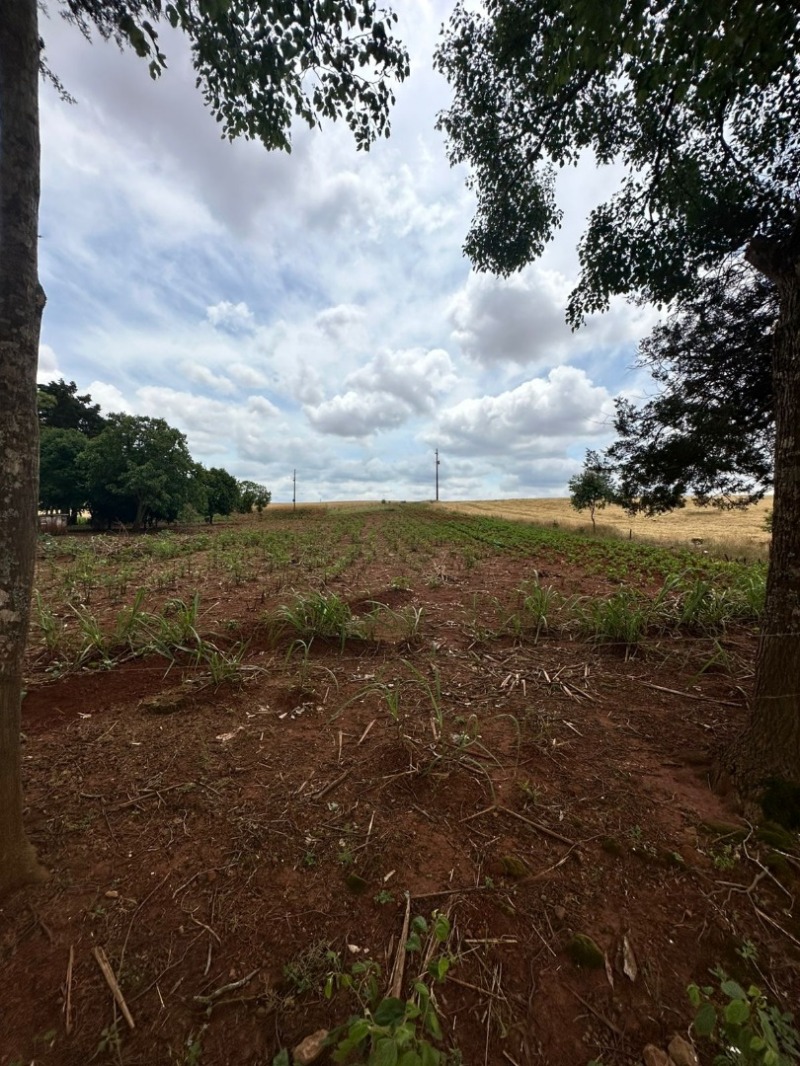 Lote 001 Os Direitos de Posse e Propriedade de Um Imóvel Rural com Aproximadamente 11.718,00m²