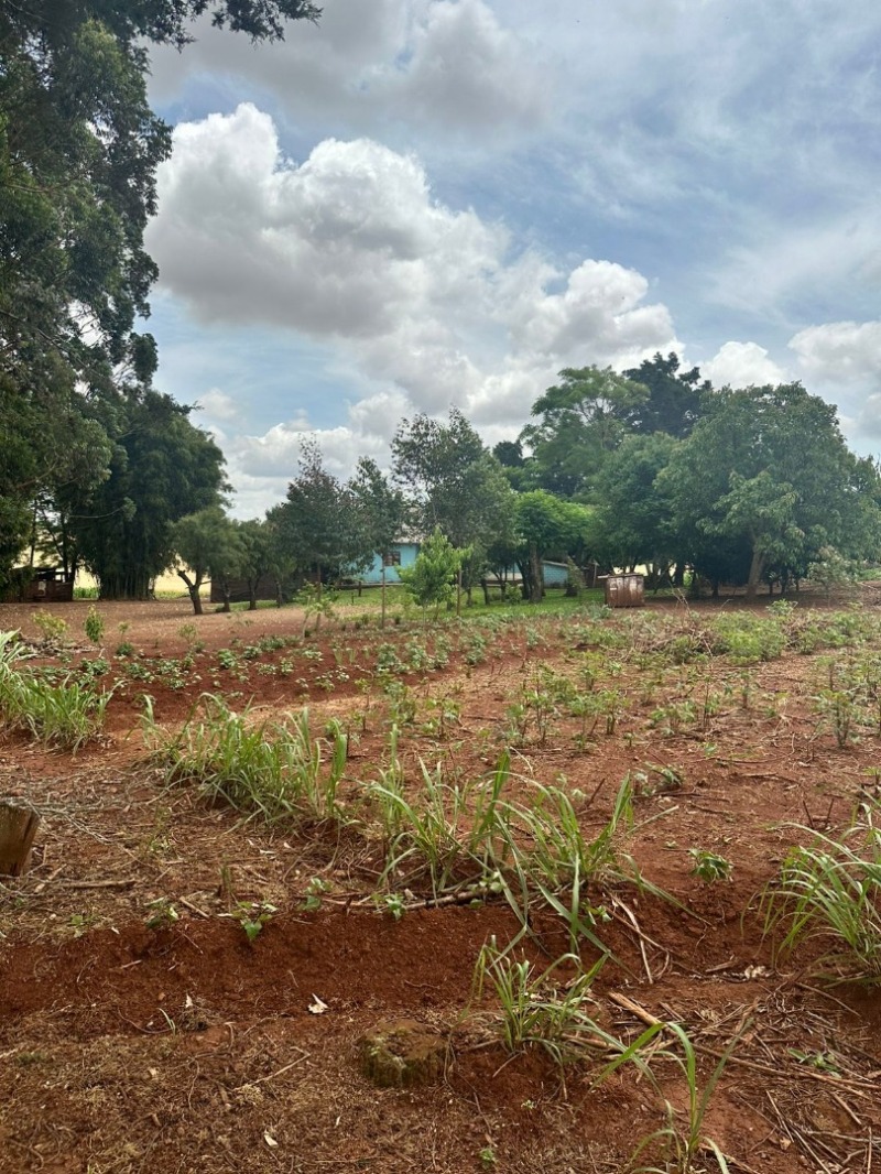 Lote 001 Os Direitos de Posse e Propriedade de Um Imóvel Rural com Aproximadamente 11.718,00m² — foto 2