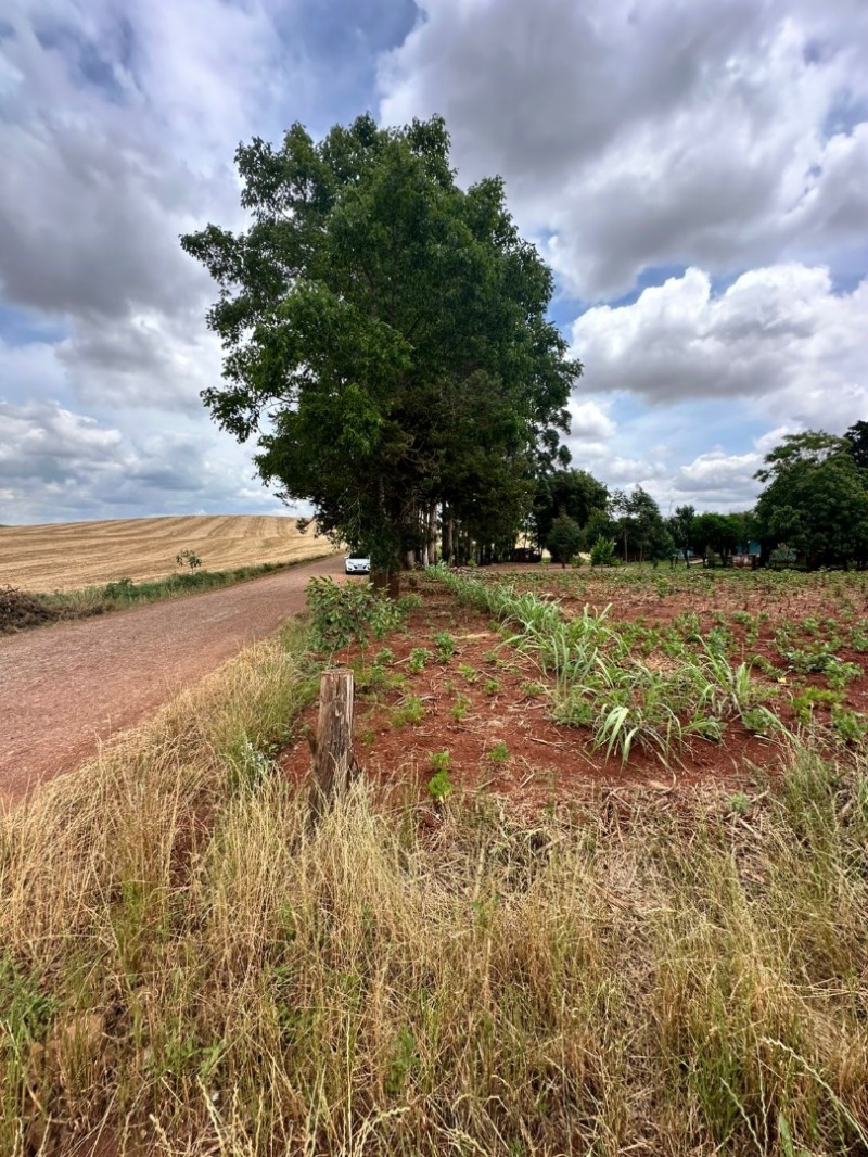 Lote 001 Os Direitos de Posse e Propriedade de Um Imóvel Rural com Aproximadamente 11.718,00m² — foto 3