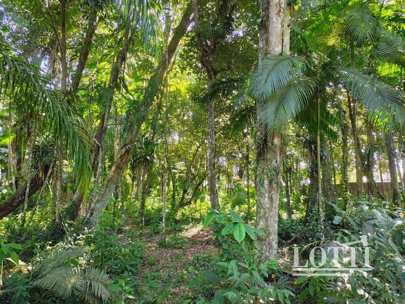 LOTE 001 Imóveis em Peruibe SP — foto 2