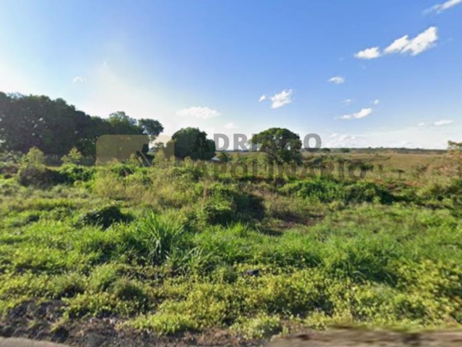 4% (2,42 ha) de Fazenda Caixetas Leilão Judicial - 4% de uma Fazenda — foto 2