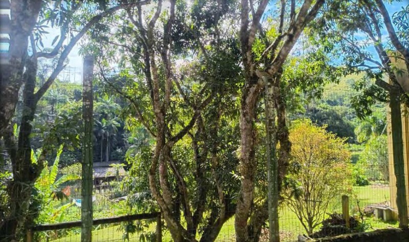 LOTE 001 Imóvel Rural, Sítio Ilha das Flores, área de aproximadamente 44,77 has, bairro Vargem Grand — foto 3