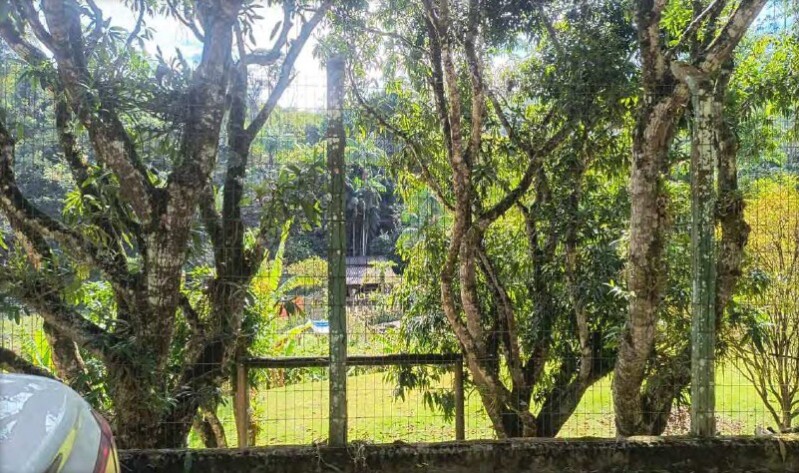 LOTE 001 Imóvel Rural, Sítio Ilha das Flores, área de aproximadamente 44,77 has, bairro Vargem Grand — foto 4