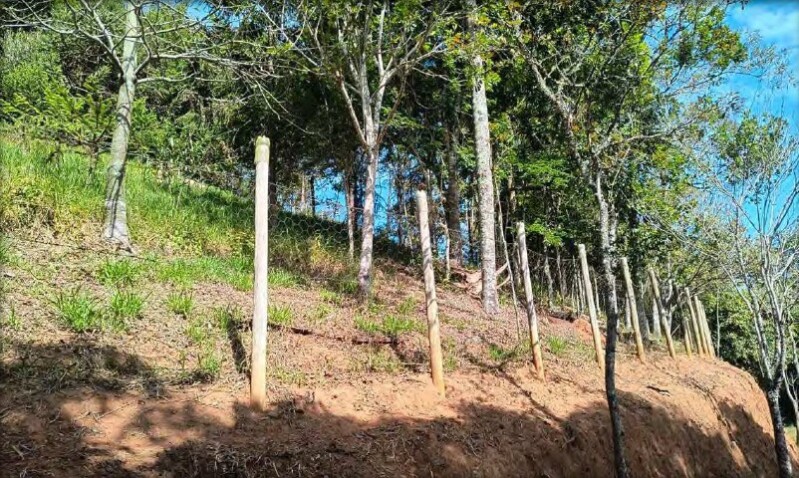 LOTE 001 Imóvel Rural, Sítio Ilha das Flores, área de aproximadamente 44,77 has, bairro Vargem Grand — foto 5