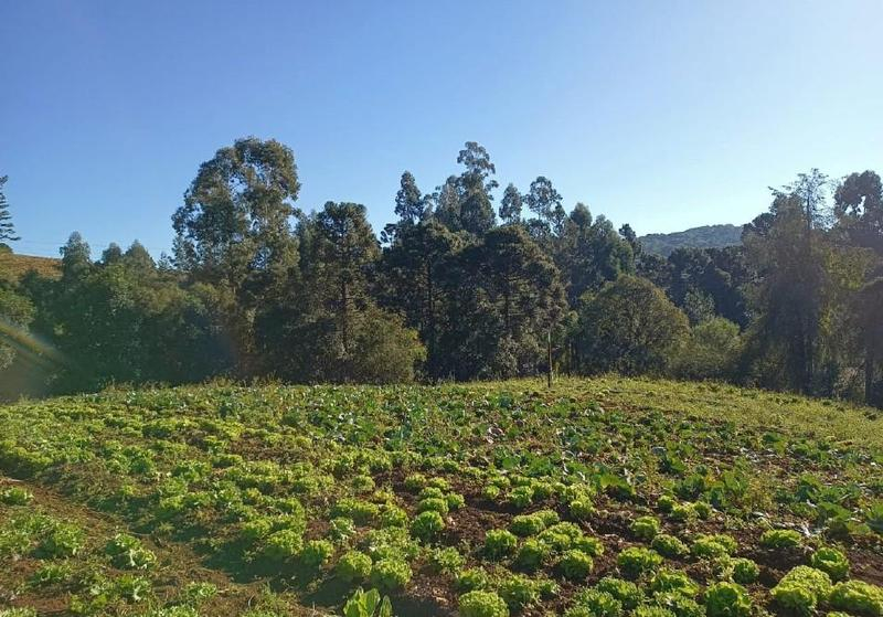 Terreno rural com 135.370,47m², Caçador/SC