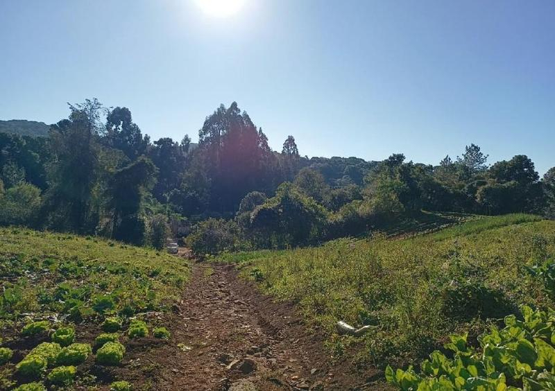 Terreno rural com 135.370,47m², Caçador/SC — foto 2