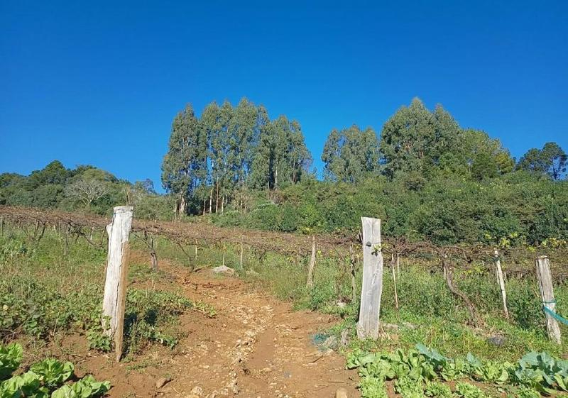 Terreno rural com 135.370,47m², Caçador/SC — foto 3