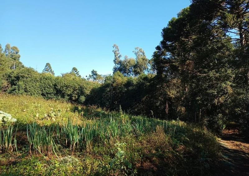 Terreno rural com 135.370,47m², Caçador/SC — foto 4