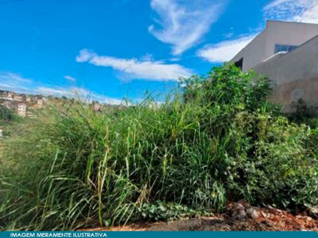 Terreno 420 m² - Quinta das Flores - Muriaé - MG — foto 2