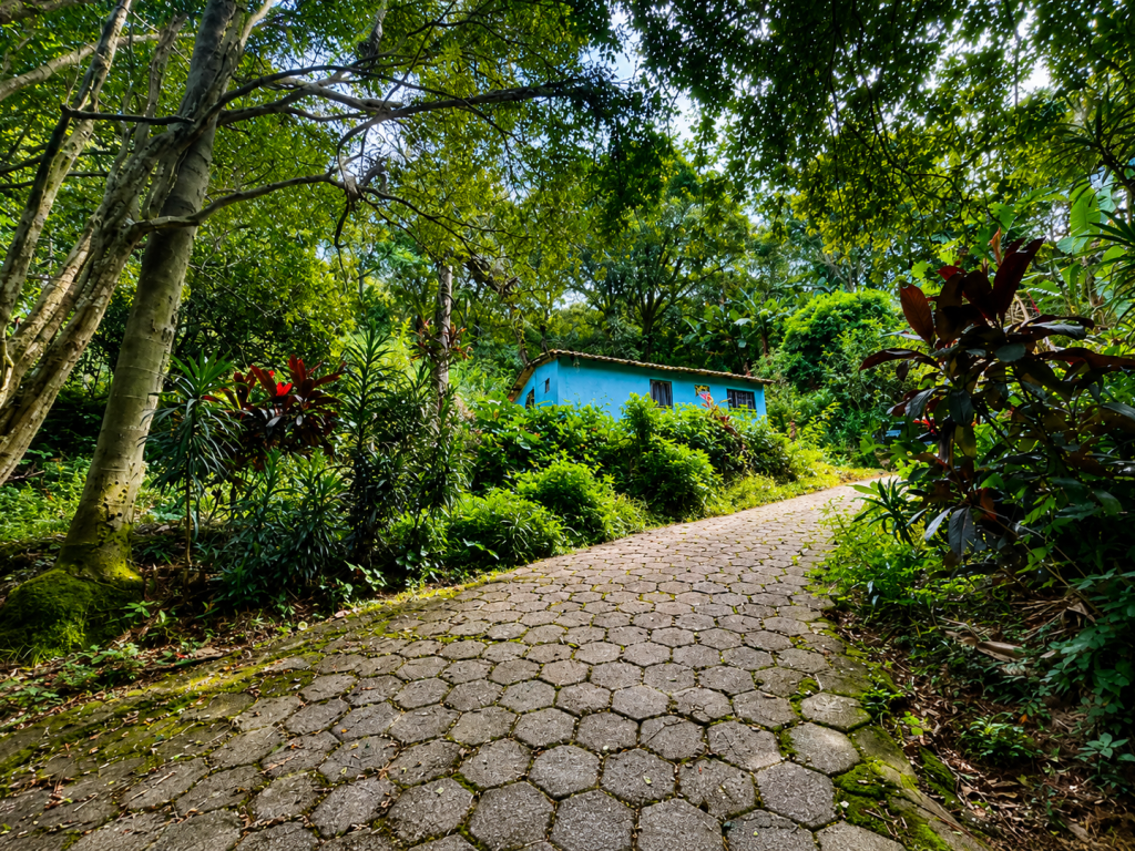 Chácara, 9.010,00 m², Jardim Jaraguá, DESOCUPADO, Zona Noroeste, São Paulo/SP — foto 4