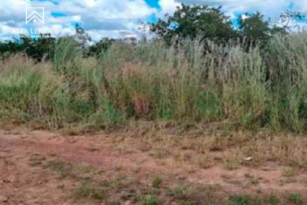 Leilão de Fazenda em Paranatinga (MT) — foto 2