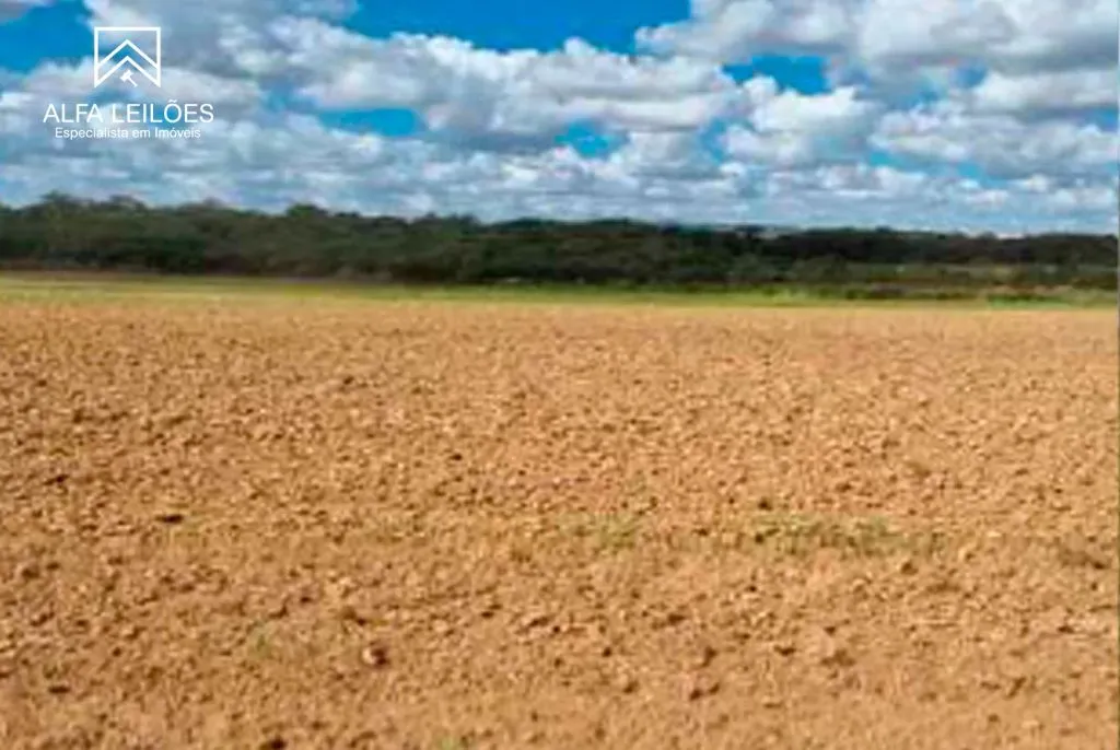 Leilão de Fazenda em Paranatinga (MT) — foto 3