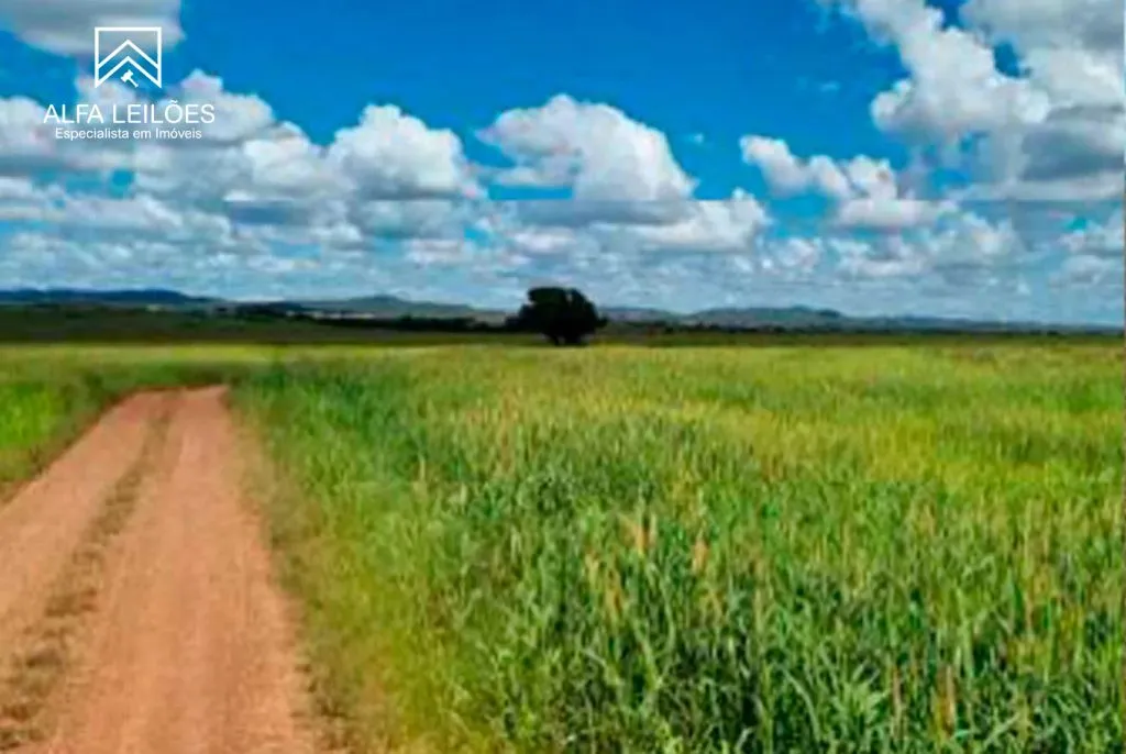 Leilão de Fazenda em Paranatinga (MT) — foto 4