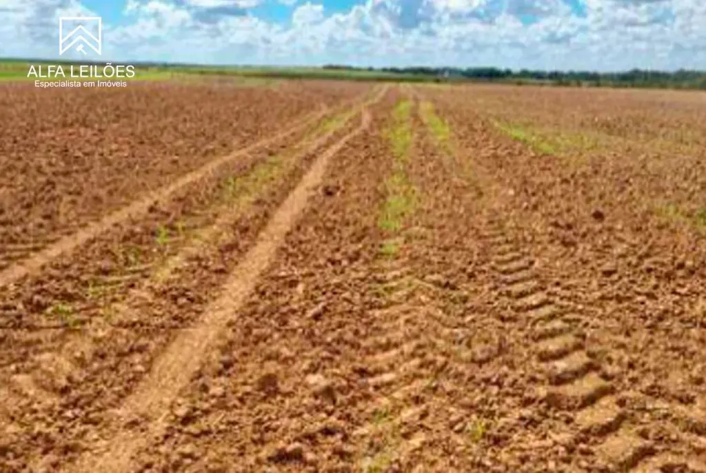Leilão de Fazenda em Paranatinga (MT) — foto 5