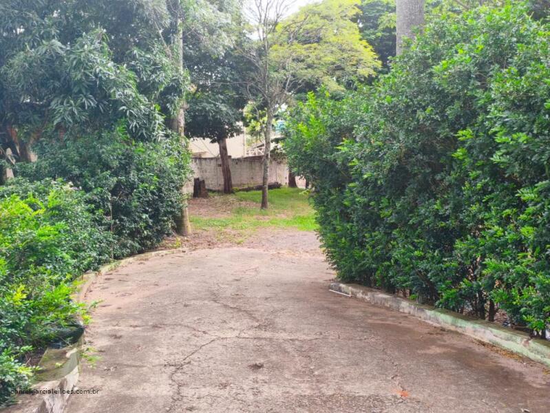 LOTE 003 Imóvel — foto 5