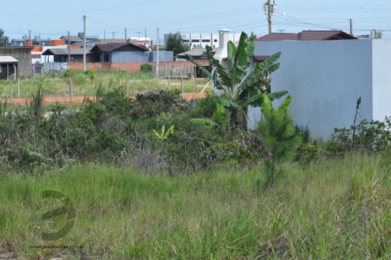 LOTE 001 Terreno