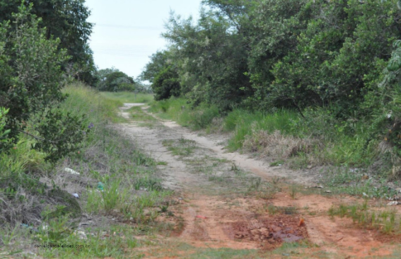 LOTE 001 Terreno — foto 4