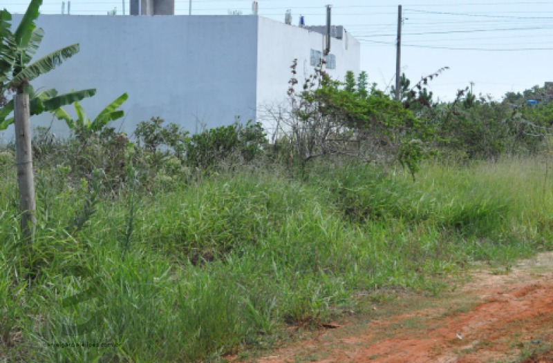 LOTE 001 Terreno — foto 5